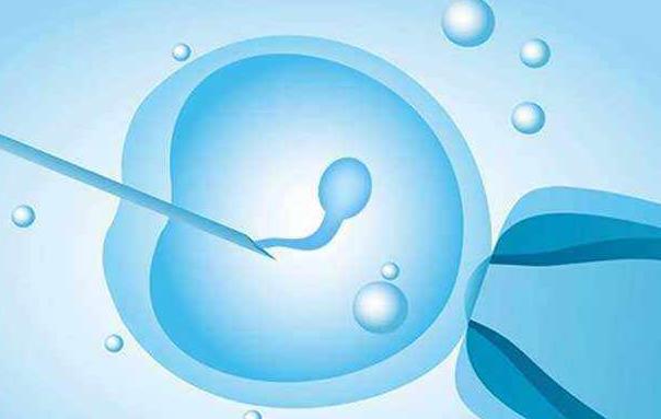 肾炎可以做试管婴儿怀孕吗具体得看看尿蛋白的水平